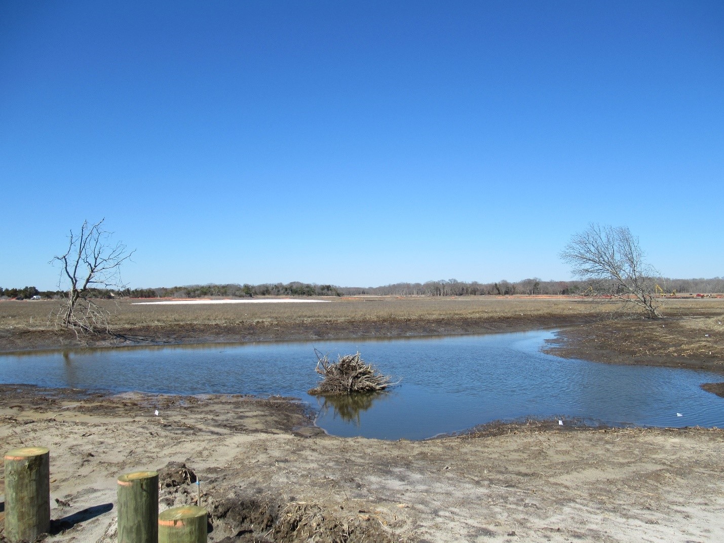 While still under construction, here’s an example of a forthcoming wildlife viewing structure (foreground) with a newly constructed habitat cluster. The ecological uplift to this area consists of the creation of tidal open water and associated mudflats, high marsh, sand nesting/foraging ground, and tree snags – March 2025