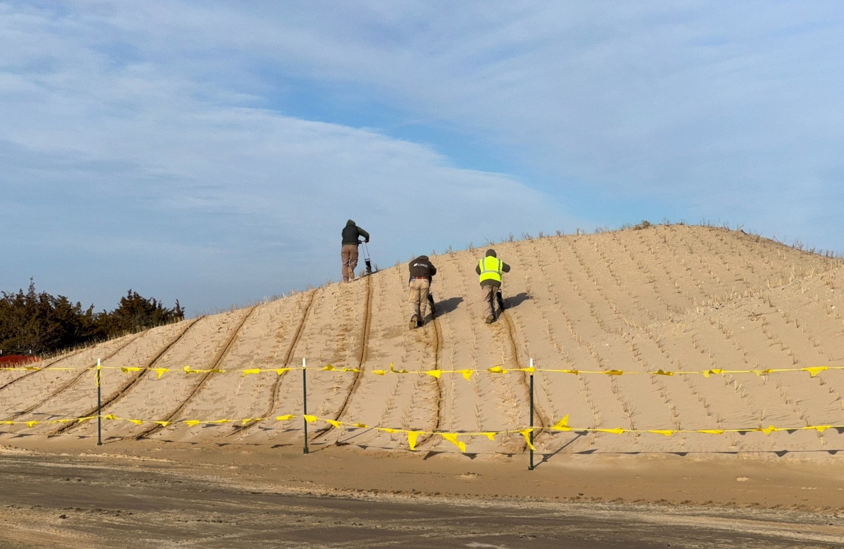 Seeding of a newly constructed dune system with panic grass (Panicum amarum) – March 2025